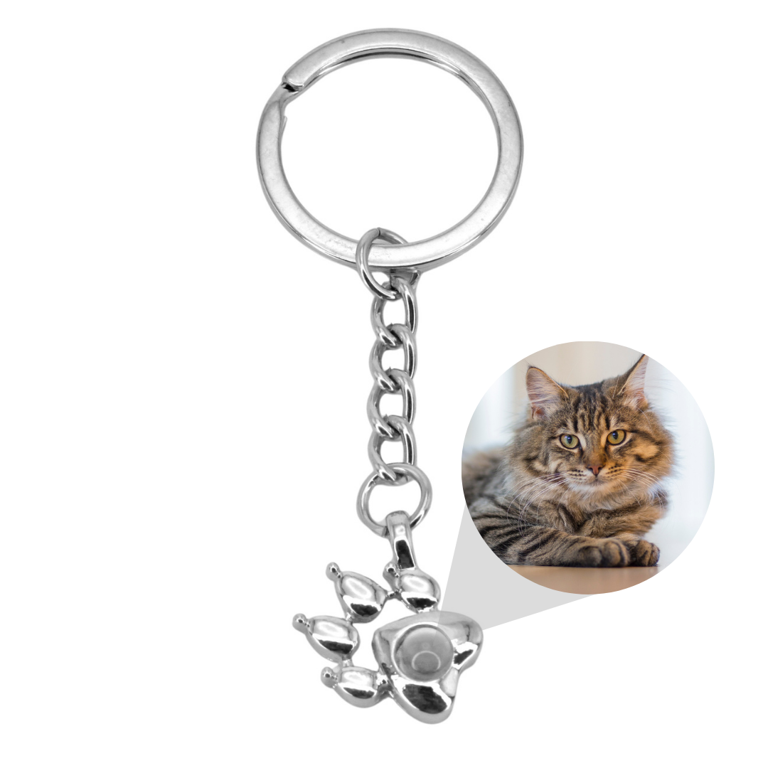 cat paw projection keychain