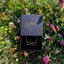 Infinity Engraved Necklace