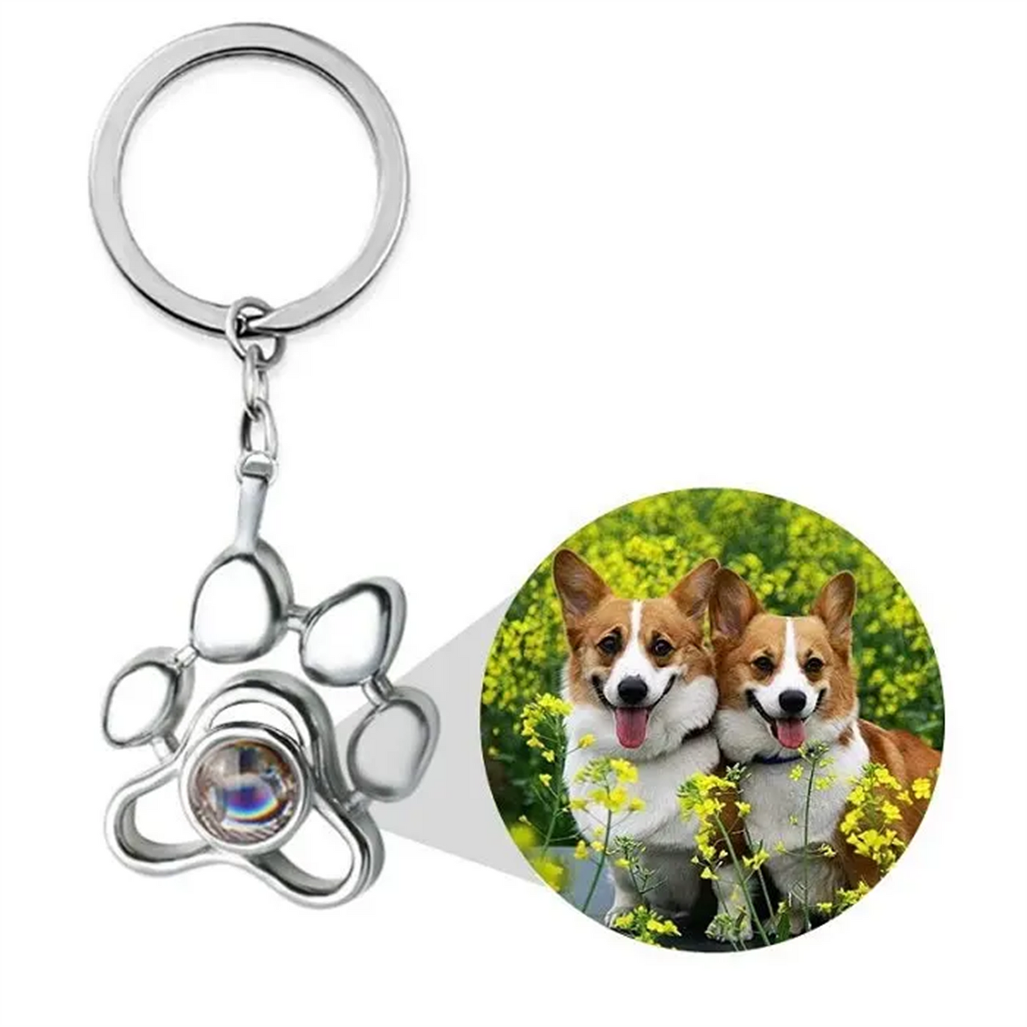 "paw print memorial projection keychain: cherishing memories"